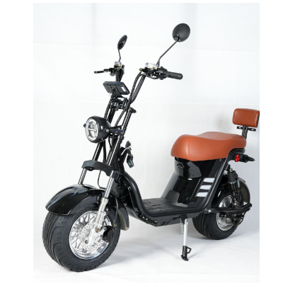 Scooter Elétrica X13 - 1000w