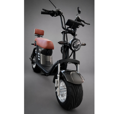 Scooter Elétrica X13 - 1000w