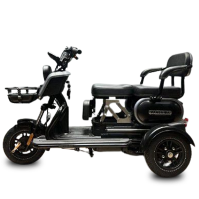 Triciclo Elétrico U1 - S  1000w