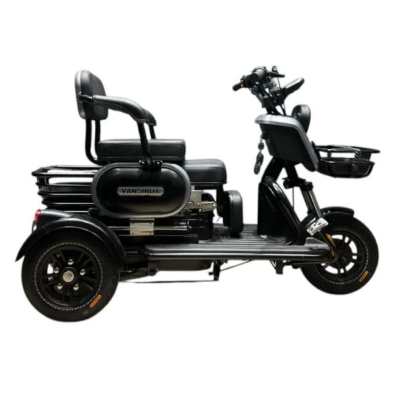 Triciclo Elétrico U1 - S  1000w