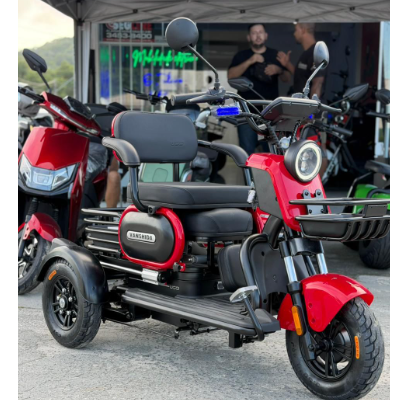 Triciclo Elétrico U1 - S  1000w