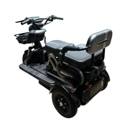 Triciclo Elétrico U1 - S  1000w