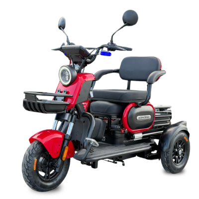 Triciclo Elétrico U1 - S  1000w