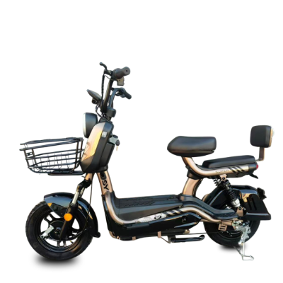 Scooter Elétrica X1 - 1000w
