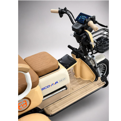 Triciclo Elétrico XE 11 - 1000W