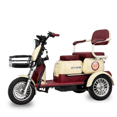 Triciclo Elétrico XE 11 - 1000W