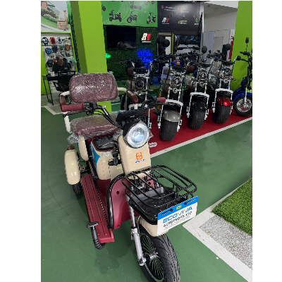 Triciclo Elétrico XE 11 - 1000W
