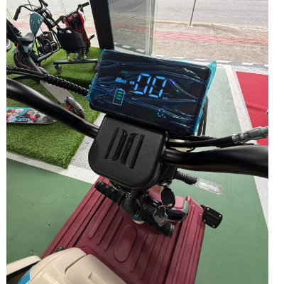 Triciclo Elétrico XE 11 - 1000W