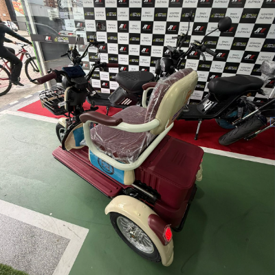 Triciclo Elétrico XE 11 - 1000W