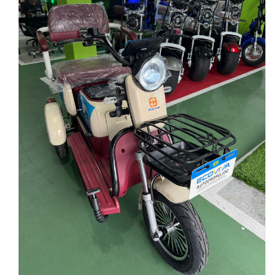 Triciclo Elétrico XE 11 - 1000W