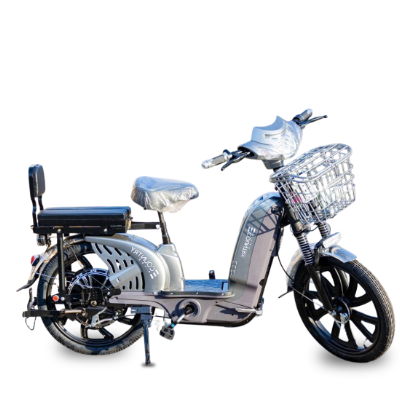 Bike Elétrica PANTANEIRA - 800W