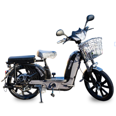 Bike Elétrica PANTANEIRA - 800W