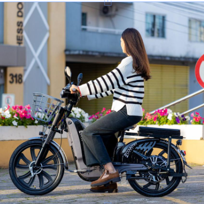 Bike Elétrica PANTANEIRA - 800W
