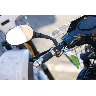 Bike Elétrica PANTANEIRA - 800W