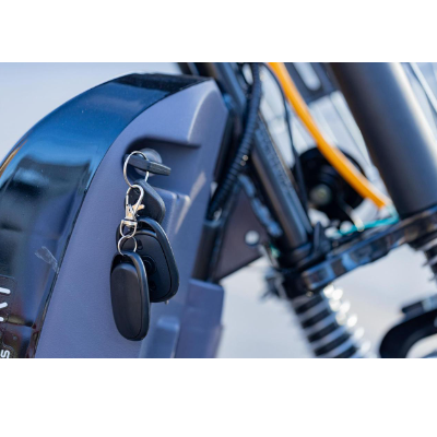 Bike Elétrica PANTANEIRA - 800W