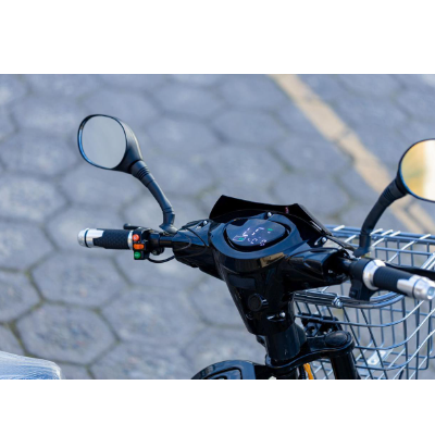 Bike Elétrica PANTANEIRA - 800W