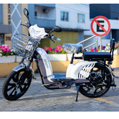 Bike Elétrica PANTANEIRA - 800W