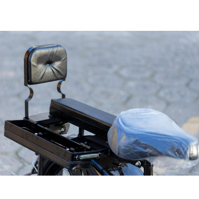 Bike Elétrica PANTANEIRA - 800W
