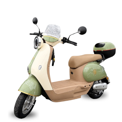 Scooter Elétrica ROMA - 1000w