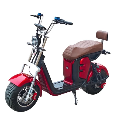 Scooter Elétrica R15 - 1000w
