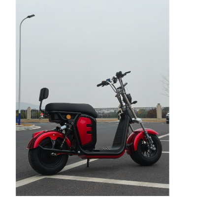 Scooter Elétrica R15 - 1000w