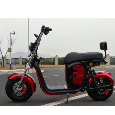Scooter Elétrica R15 - 1000w