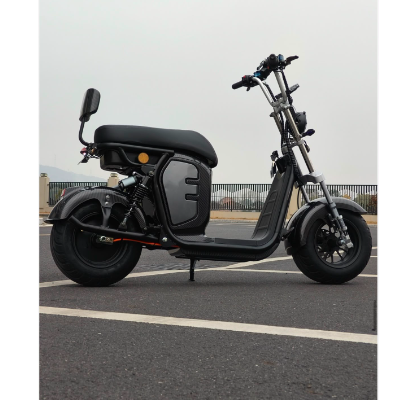 Scooter Elétrica R15 - 1000w