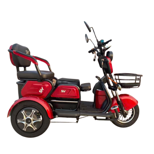 Triciclo Elétrico N3 - 1000w