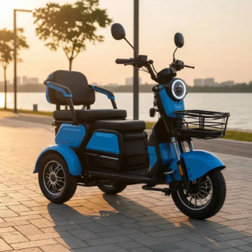 Triciclo Elétrico N3 - 1000w