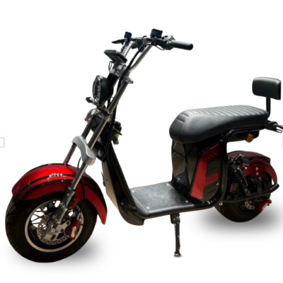 Scooter Elétrica R13 1000w