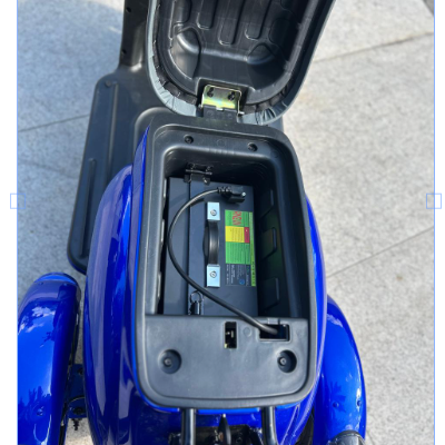 Tricicolo Elétrico Mia Tri - 1000W