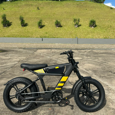 Bike Elétrica FT-03 1000W