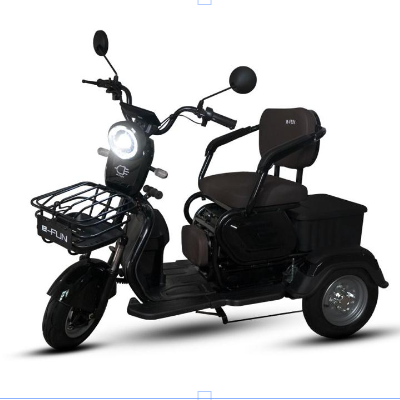 Triciclo Elétrico X3 - 650W