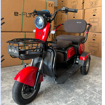 Triciclo Elétrico X3 - 650W