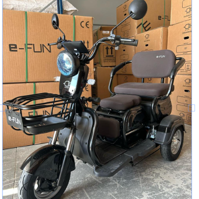 Triciclo Elétrico X3 - 650W