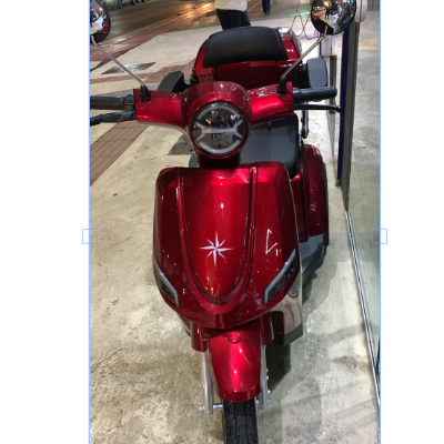 Tricicolo Elétrico VED -  1000W