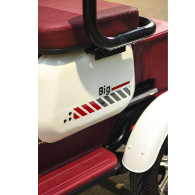 Triciclo BIG - 1000w