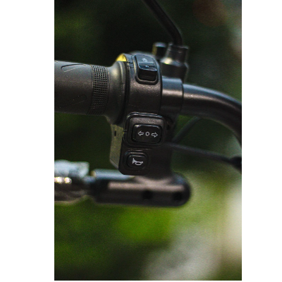 Triciclo BIG - 1000w