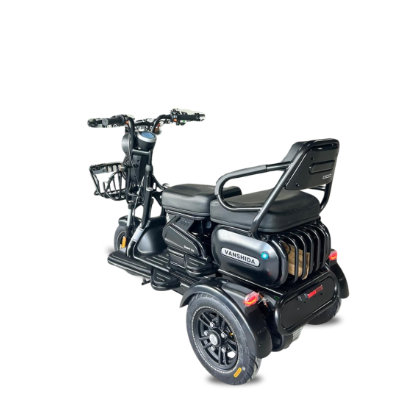 Triciclo Elétrico U1 - 1000w