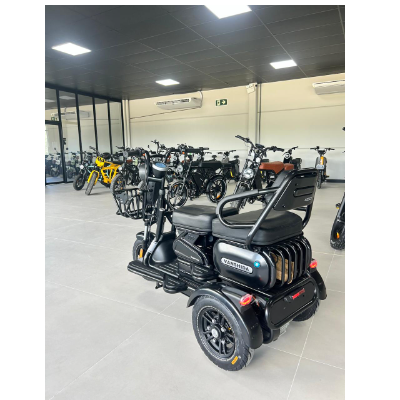 Triciclo Elétrico U1 - 1000w