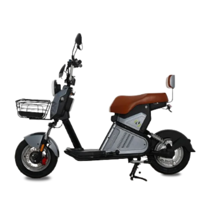 Scooter Elétrica WD2-S - 1000w