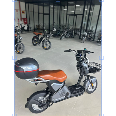 Scooter Elétrica WD2-S - 1000w
