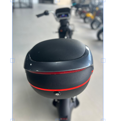 Scooter Elétrica WD2-S - 1000w