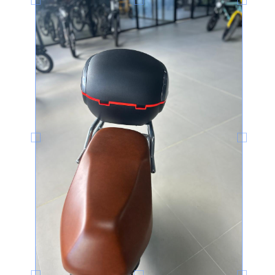 Scooter Elétrica WD2-S - 1000w